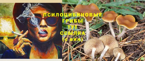 МДПВ Касимов
