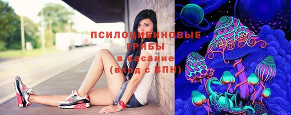 МДПВ Касимов