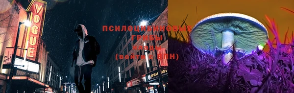 МДПВ Касимов